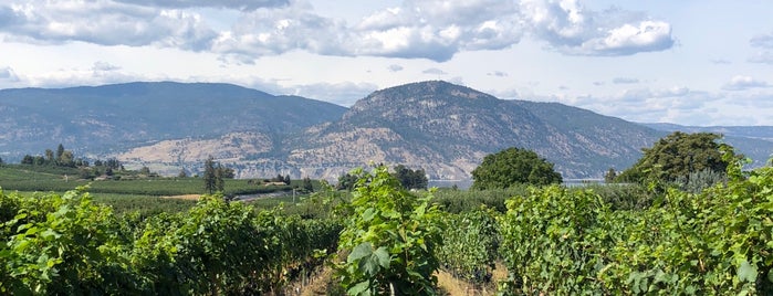 Red Rooster Vineyard is one of Okanagan Wineries.