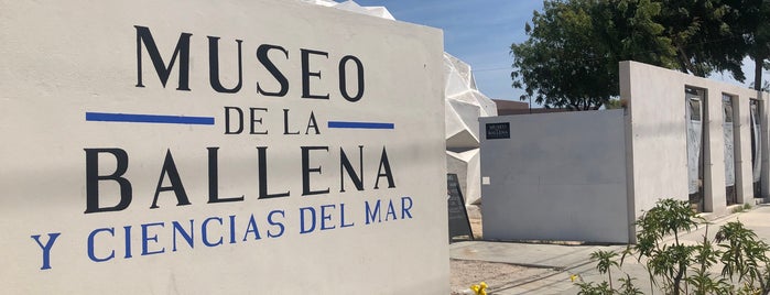 Museo Comunitario de la Ballena is one of La Paz BCS.