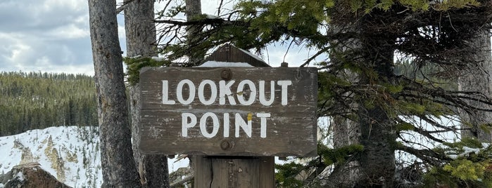 Lookout Point is one of Yellowstone.