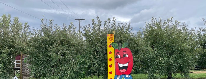 Erwin Orchards is one of Michigan.