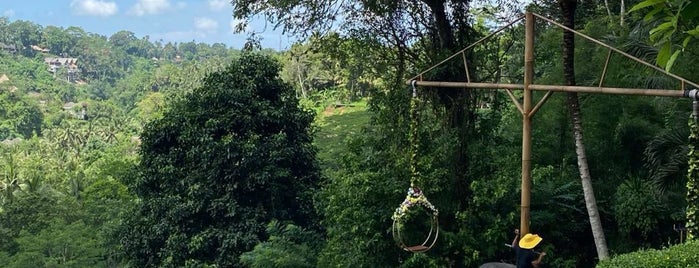 Real Bali Swing is one of Bali.