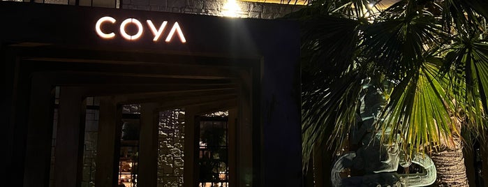 COYA is one of Restaurant.