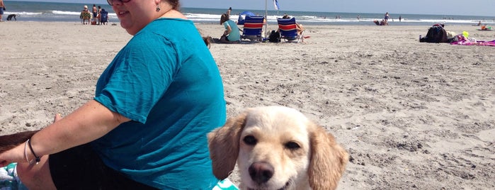 Wildwood Dog Beach is one of Dog friendly.