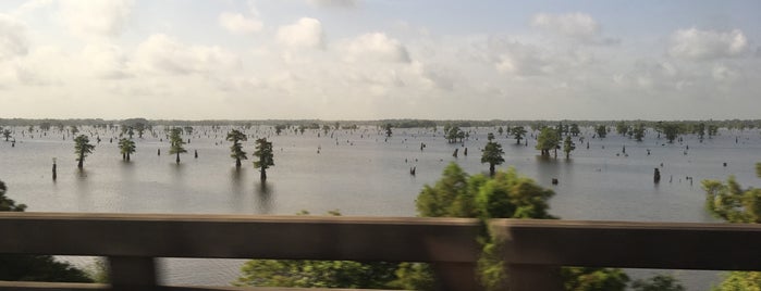 The Atchafalaya Basin is one of Places to see.