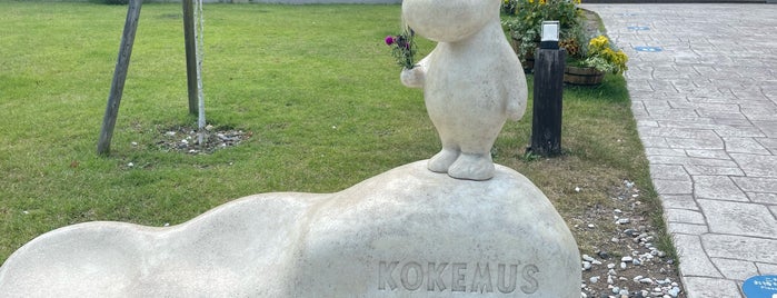 Kokemus is one of Lieux qui ont plu à 🍩.