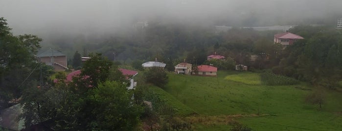 Saadettin Usta'nın Yeri is one of Trabzon.