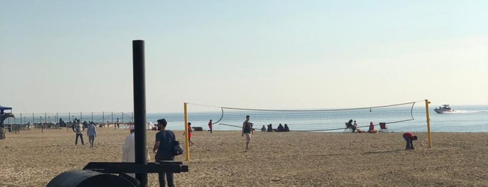 Aramco Beach is one of Haya V. List.