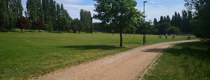 Chinbrook Meadows is one of basketball.