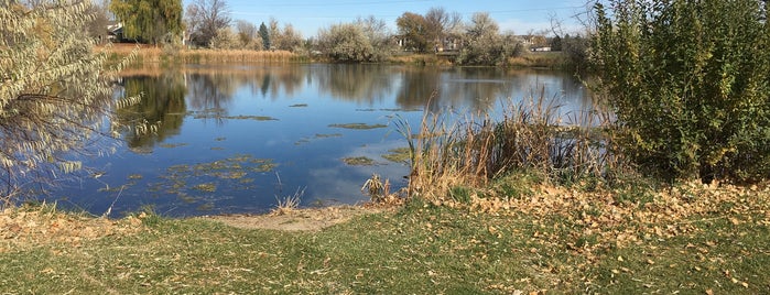 The Lake @ Golden Meadows Park is one of Fort Collins Parks.