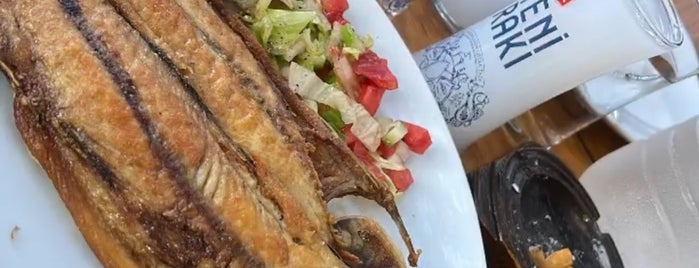 Koru Restaurant Yalıköy is one of Trakya.