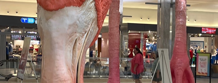 “Home” - The Giant Pink Flamingo is one of Kimmie'nin Beğendiği Mekanlar.