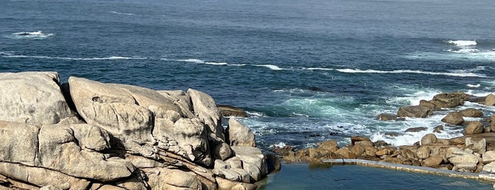 Maiden's Cove is one of Cape Town.