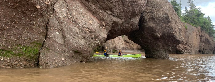 Flower Pot Rocks Bay Of Fundy, New Brunswick is one of สถานที่ที่ Rick ถูกใจ.