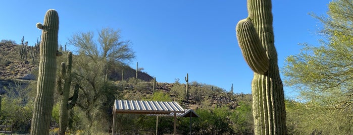 Lake Pleasant Regional Park is one of Las Vegas trip.