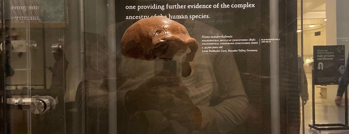 Spitzer Hall of Human Origins is one of Museums.