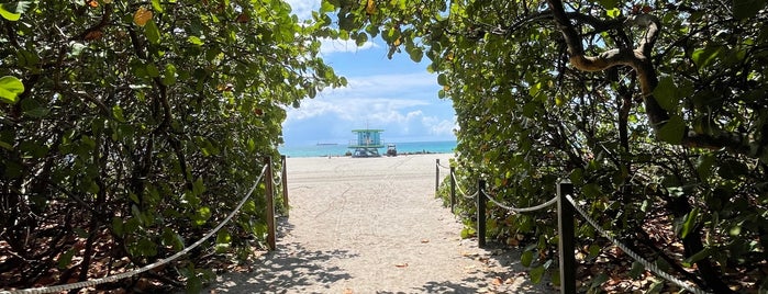 City of Miami Beach is one of Città.