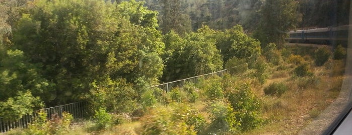 Jerusalem-Tel Aviv Train is one of Tempat yang Disukai Konstantin.