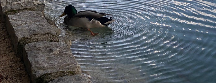 Jezero Milanovac is one of Plitvice National Park.