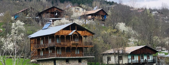 Şavşat Meydan is one of Artvin & Batum.