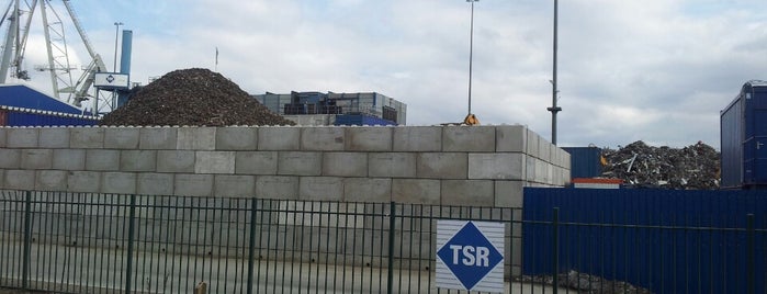 TSR Recycling is one of "check in workplace".