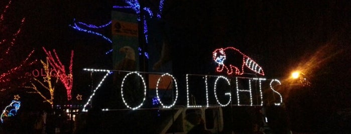 Smithsonian’s National Zoo is one of DC-Area Holiday Light Displays.