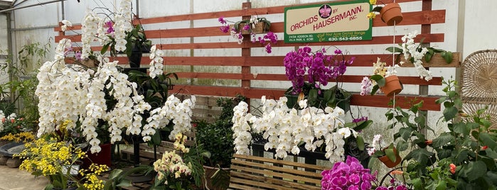 Orchids by Hausermann is one of Must Do Soon.