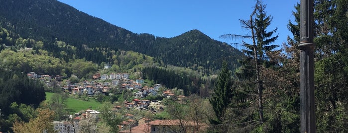 Главната is one of Smolyan.