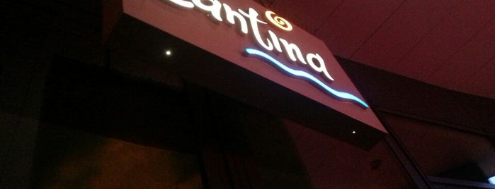 Cantina is one of Besuchte Orte.