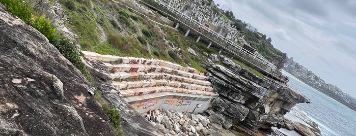 Waverley Cemetery is one of Sydney.