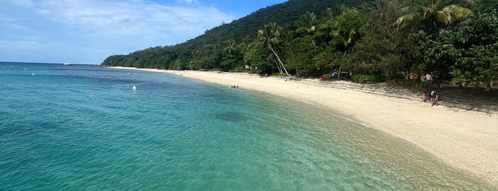 Fitzroy Island is one of Australia - Must do.