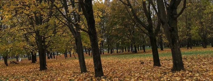 Парк дружбы народов is one of Минск.