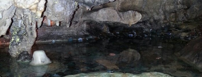 Bell Witch Cave is one of สถานที่ที่บันทึกไว้ของ Kimmie.