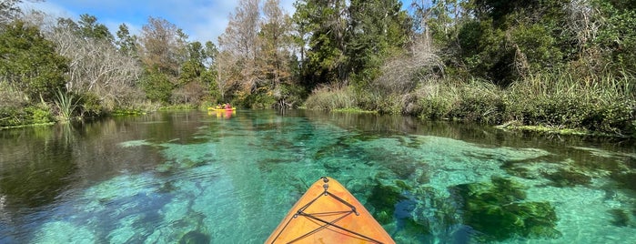 Weeki Wachee Springs State Park is one of 2019 Florida TRIP.