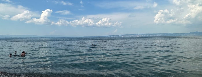 Plage d'Amphion is one of evian.