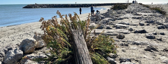 Saintes-Maries-de-la-Mer is one of Go Provence.