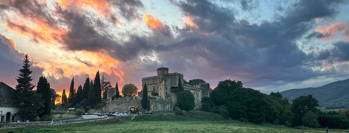 Château de Lourmarin is one of Historic/Historical Sights-List 4.