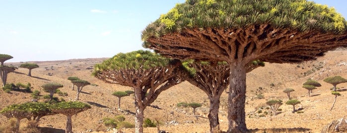 Socotra Airport (SCT) is one of Far Far Away.