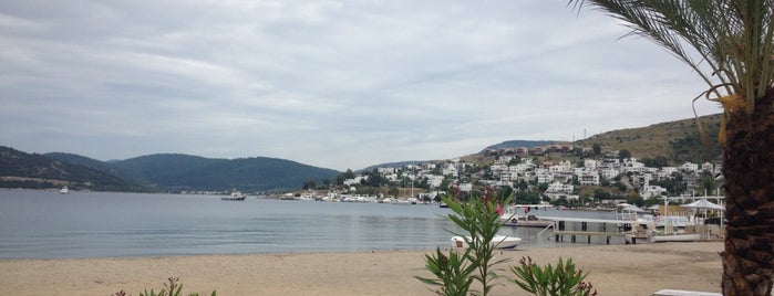 Göltürkbükü Belediyesi Çay Bahçesi is one of Lieux qui ont plu à Duygu.