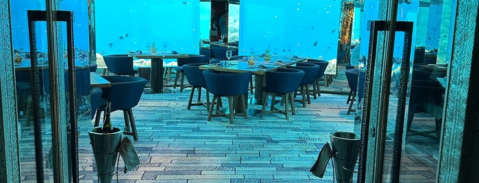 Sea Underwater restaurant is one of World’s Favorite Restaurants.