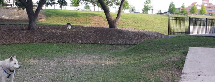 Duncan Dog Park is one of dog friendly spots.