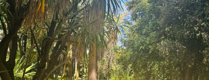 Jardim Botânico is one of Lissabon ToDo.