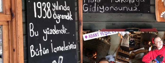 Abant Yesil ev is one of Gidilmesi gereken.