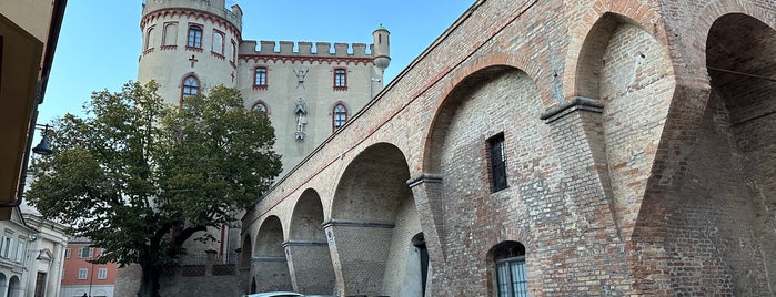 Castello di Costigliole is one of Castelli del Piemonte (CN).