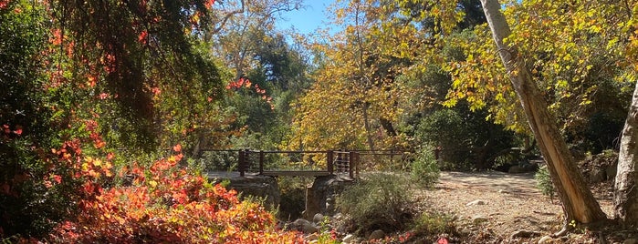 The Santa Barbara Botanic Garden is one of Secret Gardens.