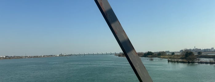 近鉄名古屋線 揖斐・長良川橋梁 is one of 鉄道の橋.