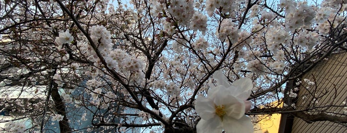 睦児童遊園 is one of 阿倍野界隈の避難場所.