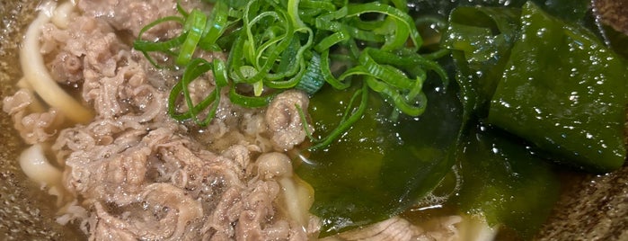 Odoru Udon is one of 行きたい店【うどん屋】.