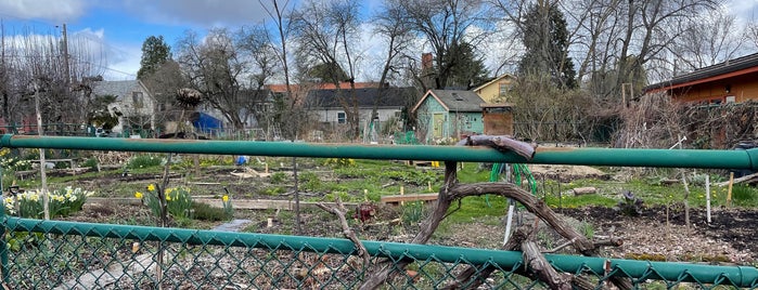 clinton community garden is one of Portlands parks and gardens.