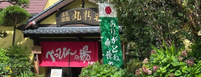 丸新荘 is one of 九州温泉道.