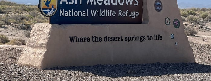 Ash Meadows National Wildlife Refuge is one of Vegas.